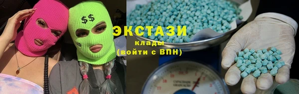 мдпв Каменка