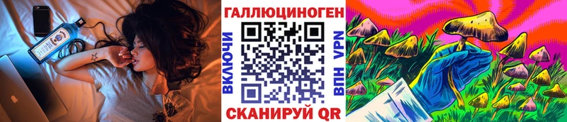 kraken ONION  Грайворон  Псилоцибиновые грибы Psilocybe 